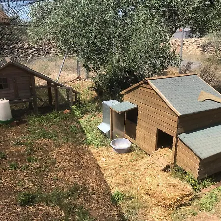 Alba Studio Lägenhet *